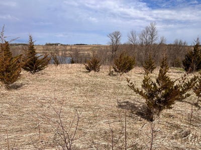 /international/us/215th-street-lot-6-barrett-mn-110107749331/