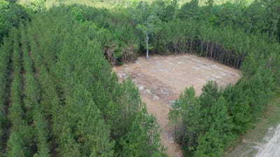 /international/us/highway-311-lot-4-cross-sc-110108225279/