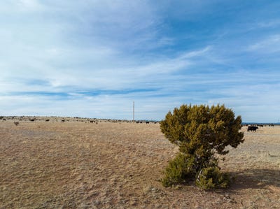 /international/us/portillo-creek-ranch-tract-12-santa-rosa-nm-110100569427/