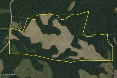 /international/us/williamson-road-denmark-tn-110107585789/