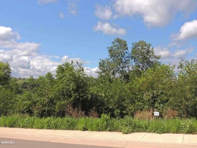 /international/us/lot-65-sproule-galena-il-110069518986/?lang=zh-tw