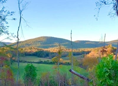 /international/us/jeb-stuart-hwy-massey-rd-lot-5110-4-stuart-va-110102927177/