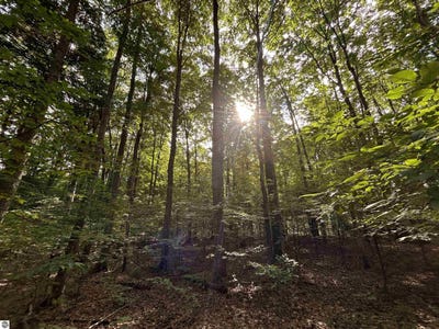 /international/us/000-langs-lane-interlochen-mi-110106533971/
