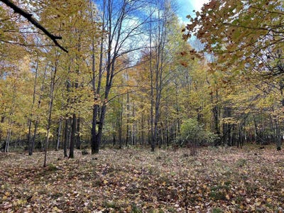 /international/us/porcupine-lake-road-lot-4-long-lake-wi-110110307320/