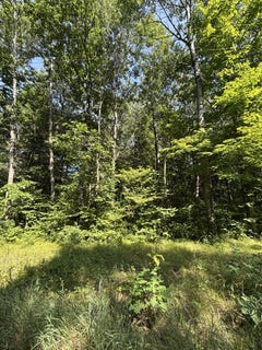 /international/us/3628-indian-trail-crossing-hersey-mi-110100942287/?lang=zh-tw