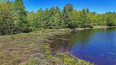 /international/us/payment-lake-rd-lot-1-mercer-wi-110108361109/