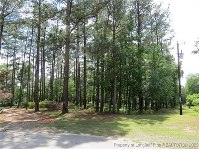 /international/us/knollwood-lane-broadway-nc-110100391989/?lang=zh-tw