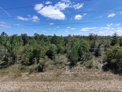 /international/us/hampshire-boulevard-lot-18-chipley-fl-110110362907/