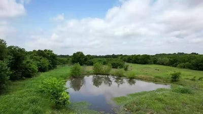 /international/us/tolosa-road-kemp-tx-110105928346/