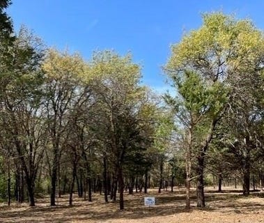 /international/us/057-blackjack-parkway-nocona-tx-110100428354/