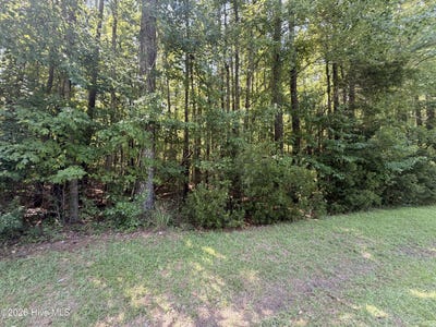 /international/us/sr-1119-lot-18-blounts-creek-nc-110119325761/