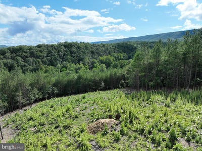 /international/us/20-17-ac-north-texas-road-delray-wv-110100301795/?lang=zh-tw