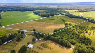 /international/us/union-academy-road-lot-4-salley-sc-110102311486/