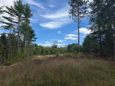 /international/us/cator-dr-lot-8-minocqua-wi-110110322950/