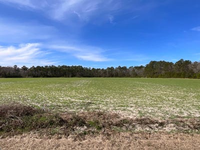 /international/us/6005-old-salkehatchie-rd-early-branch-sc-110101022337/