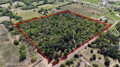 /international/us/0000-an-county-road-468-palestine-tx-110098485511/?lang=zh-tw