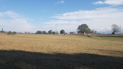 /international/us/county-rd-222-crane-hill-al-110104160736/