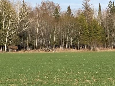 /international/us/14390-taylor-hawks-road-lachine-mi-110108337311/