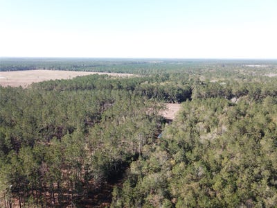 /international/us/hunting-lodge-road-kountze-tx-110120509845/