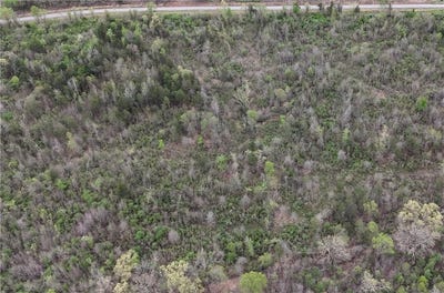 /international/us/11-32-acre-county-road-2228-a-hartman-ar-110098624217/