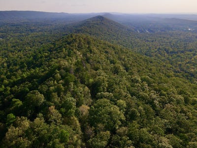 /international/us/0-shephard-branch-trail-leeds-al-110095131999/