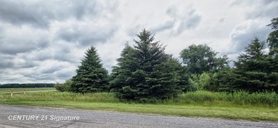/international/us/vl-frost-road-hemlock-mi-110108872460/