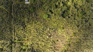 /international/us/road-2-ao-mountain-view-hi-110103707575/