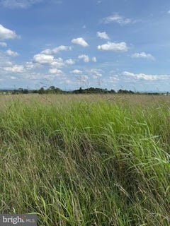 /international/us/lot-1-glebe-dr-clear-brook-va-110100996214/