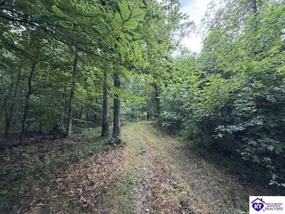 /international/us/tract-g-sutzer-creek-road-eastview-ky-110110099984/