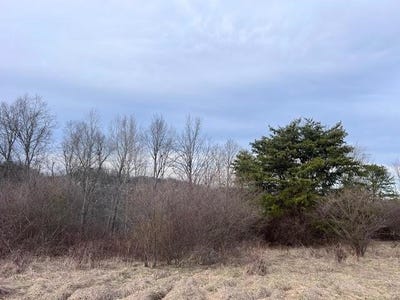 /international/us/lots-26-27-chrystal-lane-barboursville-wv-110098021356/