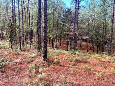 /international/us/state-highway-225-bay-minette-al-110103379297/