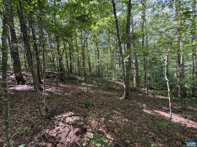 /international/us/tm-23-5a-mitchell-mountain-rd-lot-5a-haywood-va-110102286232/