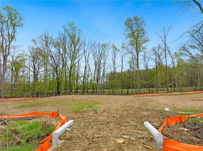 /international/us/9528-river-birch-run-brecksville-oh-110108063769/