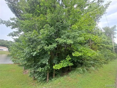 /international/us/10509-acorn-drive-hillsboro-mo-110101019828/?lang=en