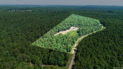 /international/us/40220-reece-creek-rd-bigelow-ar-110108239999/