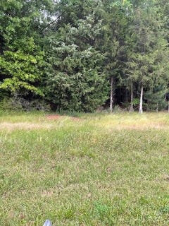 /international/us/woodglenn-road-lot-44-catawba-sc-110099556830/?lang=zh-cn