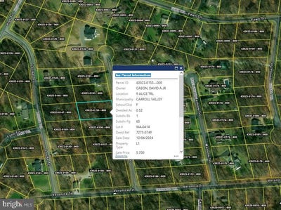/international/us/9-alice-trail-fairfield-pa-110101501256/