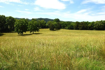 /international/us/6295-irish-bottom-rd-tract-3-burkesville-ky-110108875722/