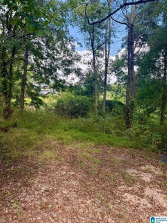 /international/us/7526-cahaba-avenue-lot-9-1-leeds-al-110120042225/