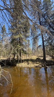 /international/us/s-flower-bay-rd-cedarville-mi-110105706602/