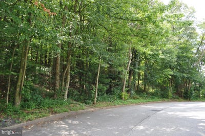 /international/us/0-mahantongo-drive-pottsville-pa-110099232991/?lang=zh-cn