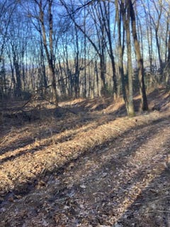 /international/us/frye-mountain-bryson-city-nc-110104519927/