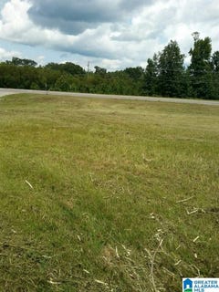 /international/us/1611-7th-street-clanton-al-110061976710/?lang=zh-cn