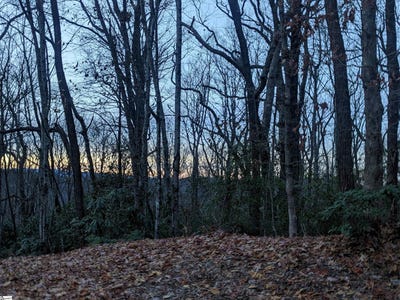 /international/us/609-cliff-ridge-drive-cleveland-sc-110096806816/