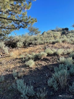 /international/us/26710-stirrup-way-tehachapi-ca-110091329216/