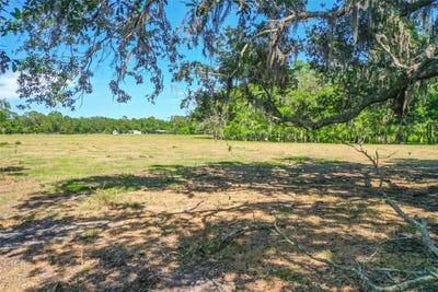 /international/us/000-cr65-bunnell-fl-110098907291/?lang=zh-cn