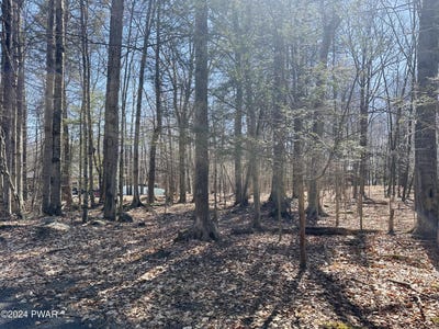 /international/us/lot-1138-chipmunk-lane-lake-ariel-pa-110090974074/