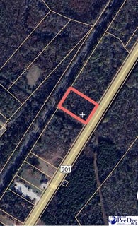 /international/us/3131-s-highway-301-dillon-sc-110102441484/