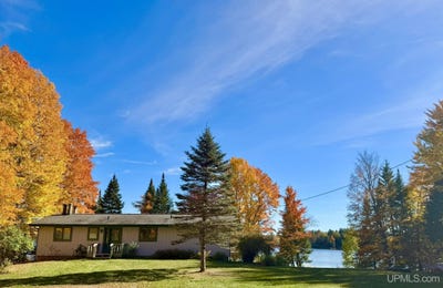 /international/us/n12790-sawyer-lake-road-channing-mi-110110422613/