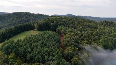 /international/us/00-lot-21-new-hope-church-road-laurel-springs-nc-110120004595/